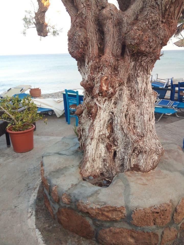 Beachfront Apartment Kato Káto Zákros 外观 照片